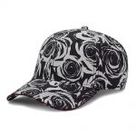 Cayler & Sons Beyond Reach curved cap